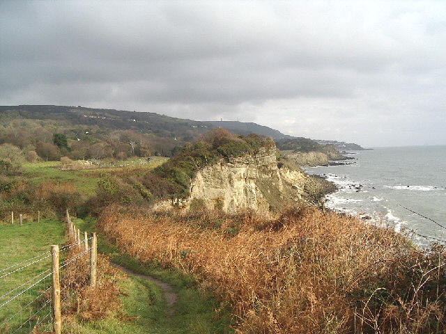 Coast south of Niton looking east